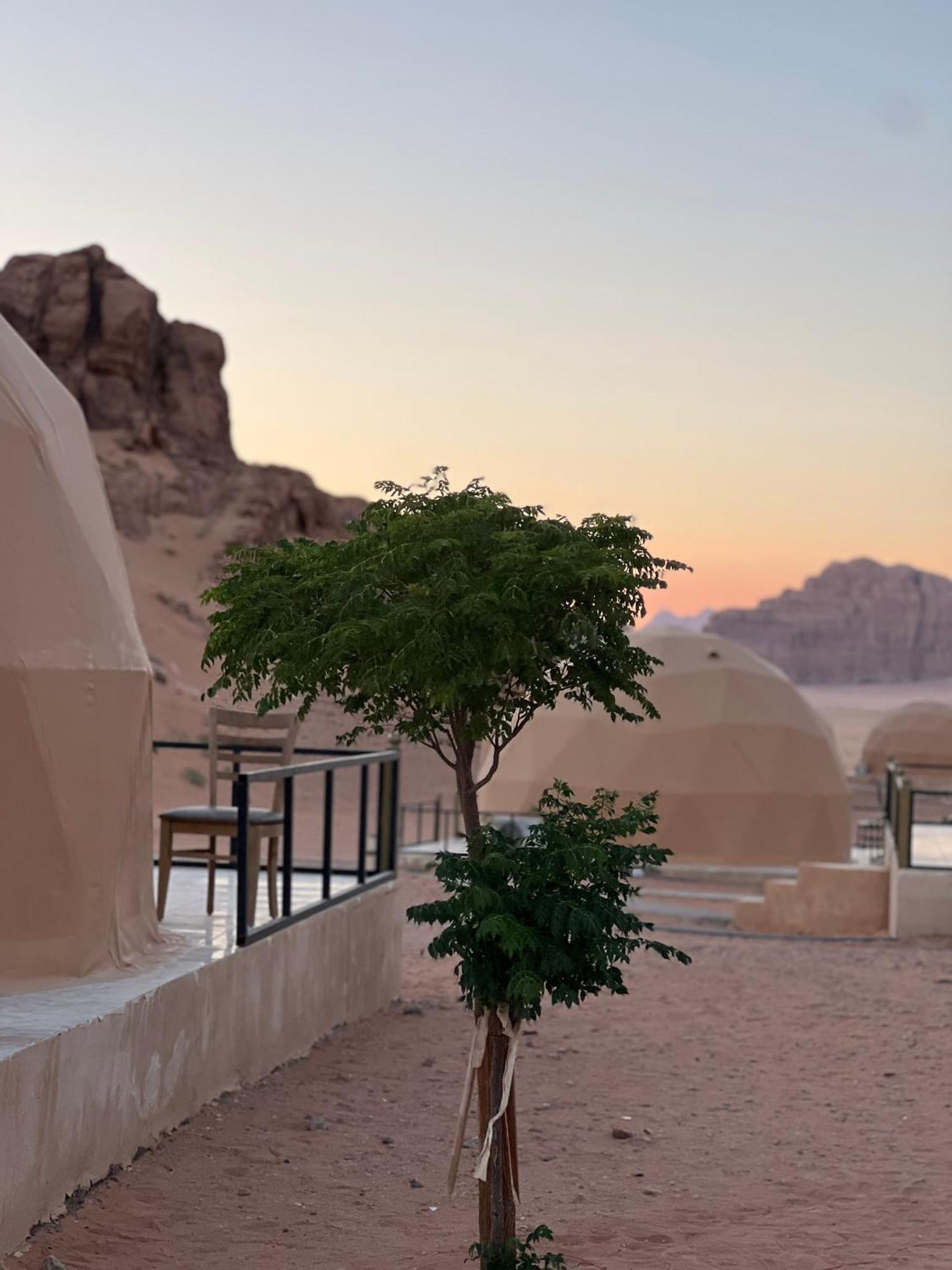 Magic Mountain Camp Apartment Wadi Rum Exterior photo